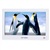 鿴Ʒ:onda VX530LE 4G 4.3 Ӣ MP4 ɫ