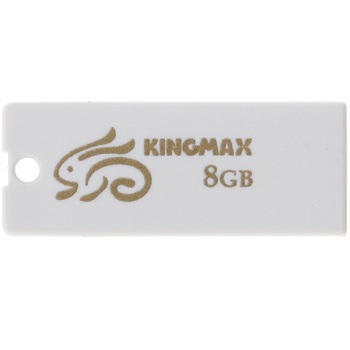 ʤKINGMAX 8G  ɫ